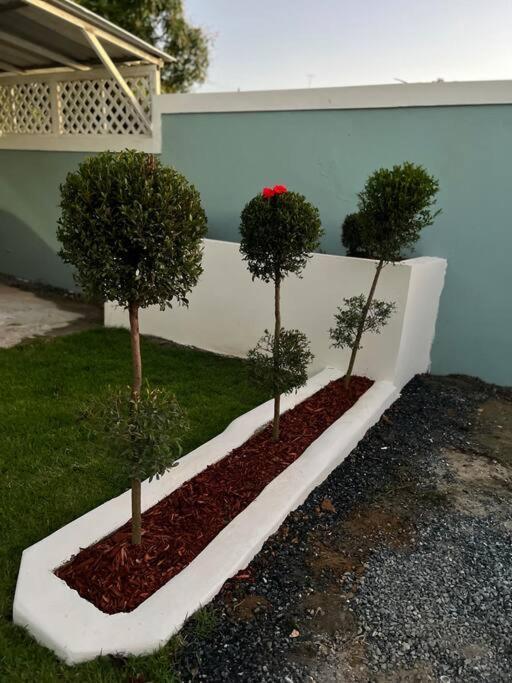 Playa Y Campo Studio Isabela Exterior photo